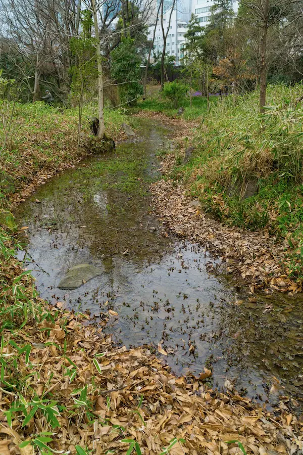 Upper pond (kamino ike)